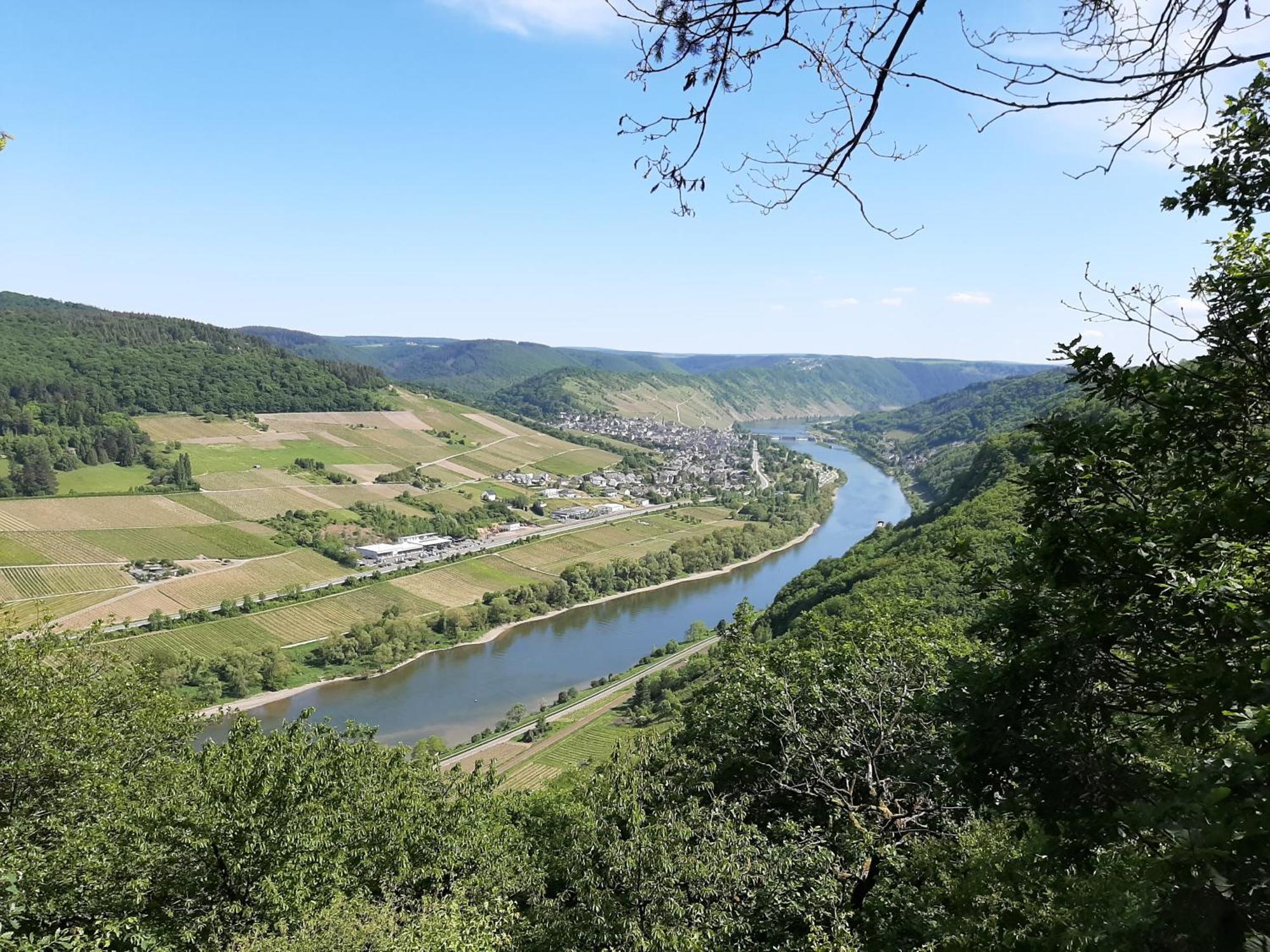 Residenz Moselstausee 장크트 알데군트 외부 사진
