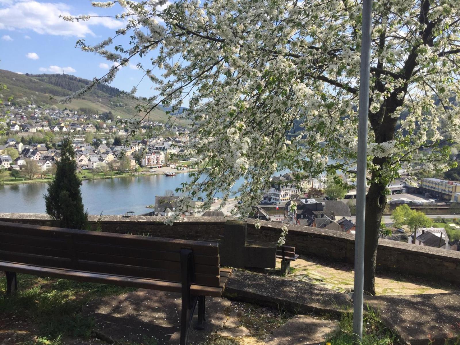 Residenz Moselstausee 장크트 알데군트 외부 사진