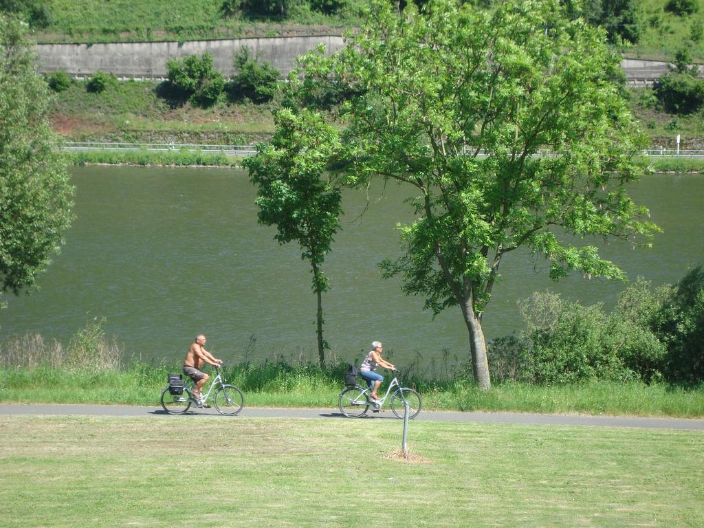 Residenz Moselstausee 장크트 알데군트 외부 사진